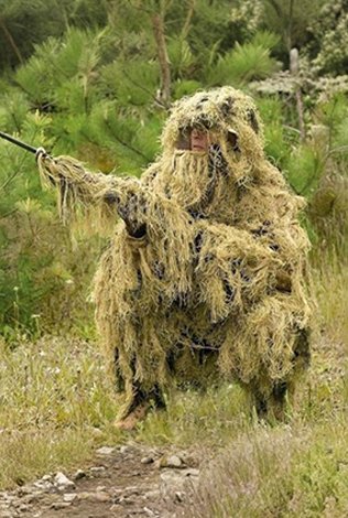 sterlite our gallery.3