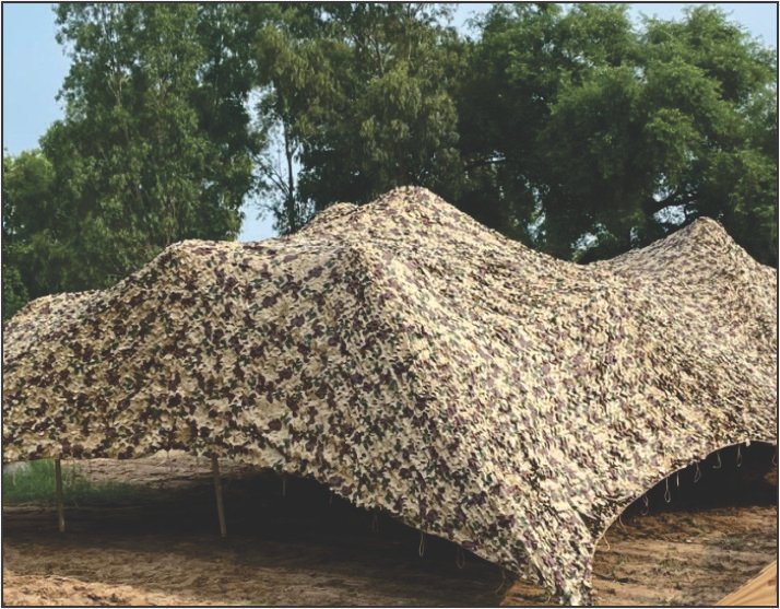CAMOUFLAGE NETS (VISUAL-FR-REV) SCN.jpg